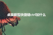 桌面截图快捷键ctrl加什么（屏幕截屏键ctrl加什么）