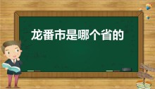 龙番市是哪个省的（法医秦明之读心者龙番市是哪里）