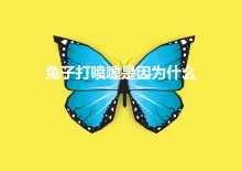 兔子打喷嚏是因为什么（兔子总是打喷嚏是怎么回事）