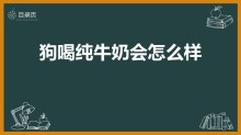 狗喝纯牛奶会怎么样（小狗到底能不能喝牛奶）