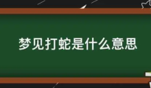 梦见打蛇周公解梦（梦见打蛇有什么征兆）