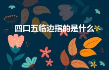 四口五临边指的是什么（“四口五临边”是什么意思）